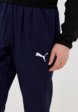 Брюки спортивные PUMA4  - превью