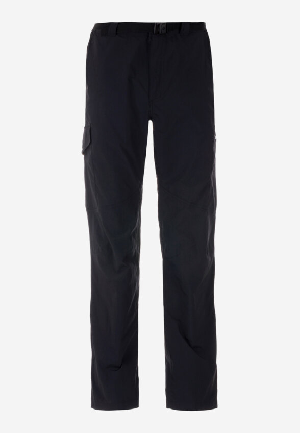 Брюки мужские Columbia Silver Ridge Cargo Pant, Черный