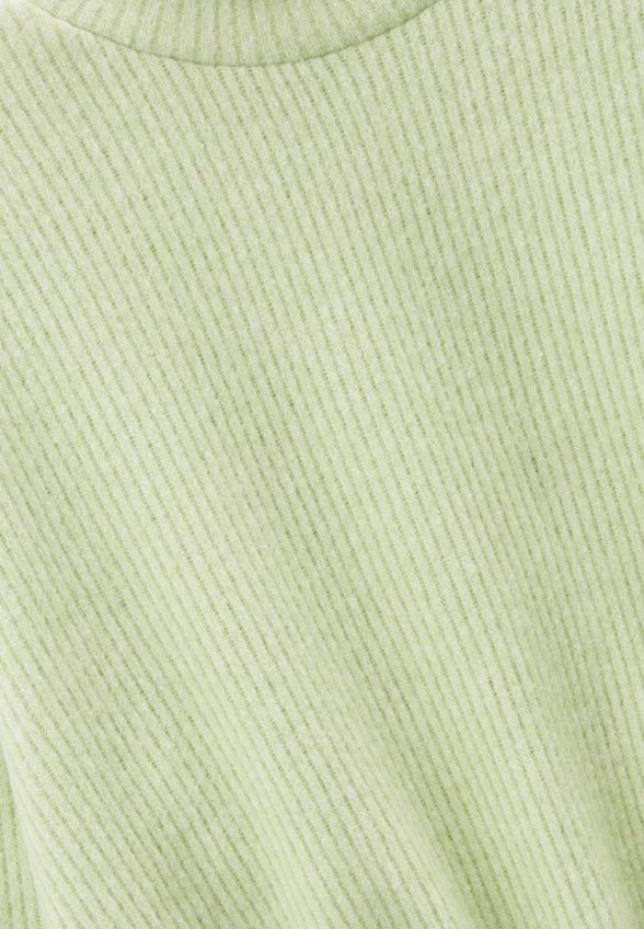 Джемпер Reporter Young