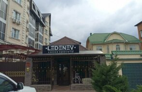 Ledenev