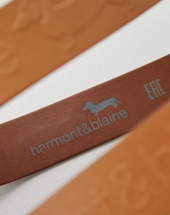 Ремень Harmont & Blaine мужчинам