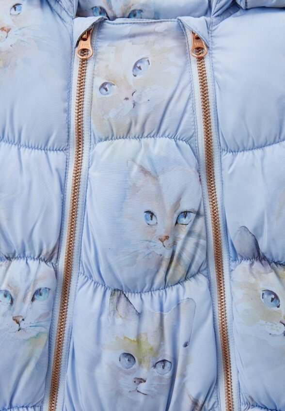 Комбинезон утепленный и пинетки Molo