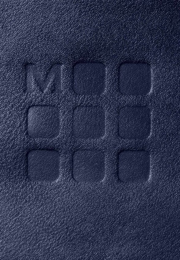 Рюкзак Moleskine