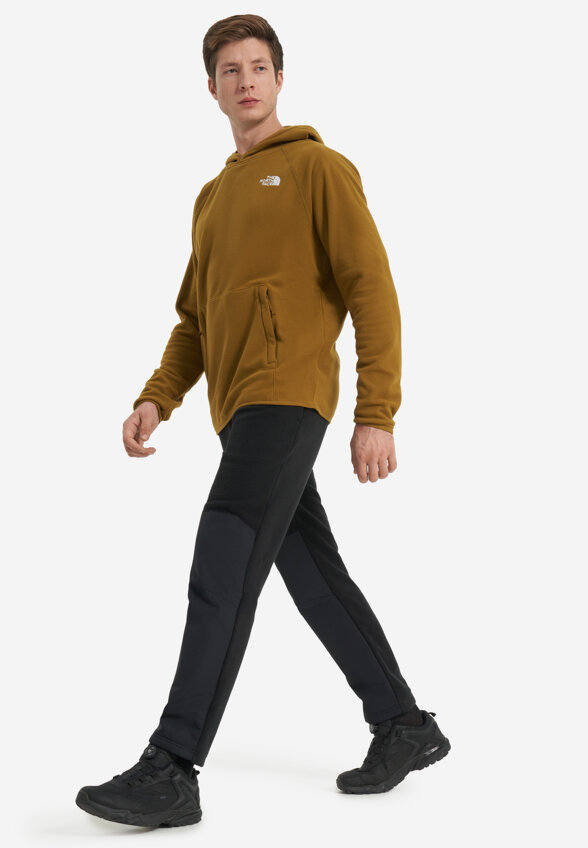Джемпер флисовый мужской The North Face 100 Glacier, Зеленый