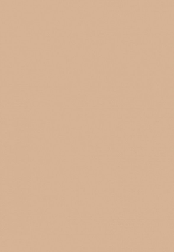 Пудра компактная MAC