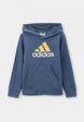 Худи adidas1  - превью