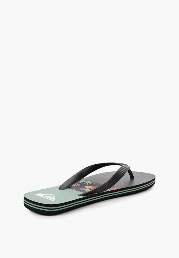 Сланцы Quiksilver