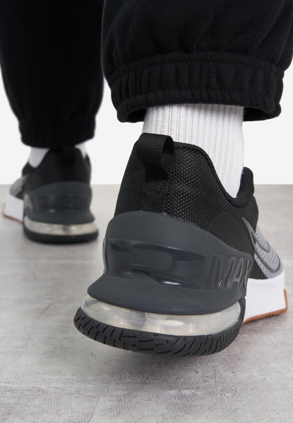 Кроссовки мужские Nike Air Max Alpha Trainer 6, Серый