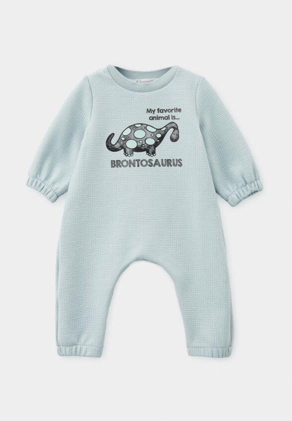 Комбинезон Choupette