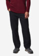 Брюки мужские Columbia Rapid Rivers Fleece Lined Pant, Черный2  - превью