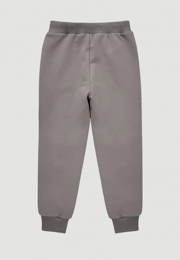 Брюки спортивные Mjolk