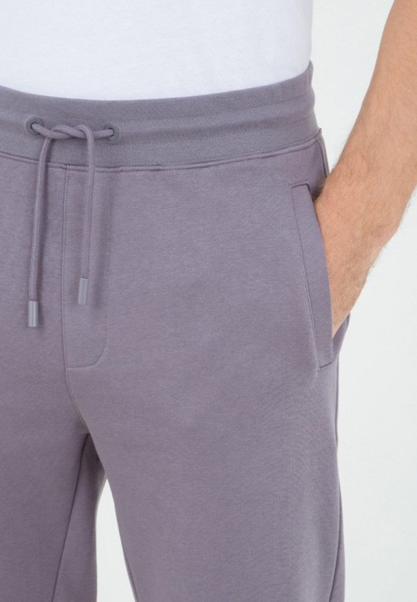 Брюки спортивные Thomas Berger