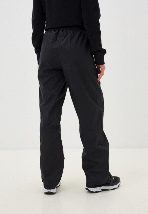 Брюки спортивные The North Face