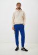 Брюки спортивные adidas Originals2  - превью