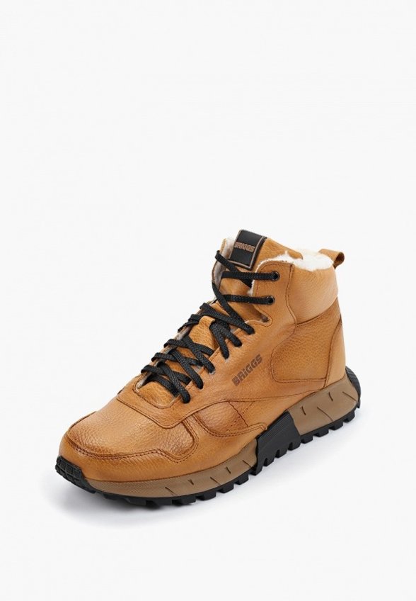 Кроссовки Briggs