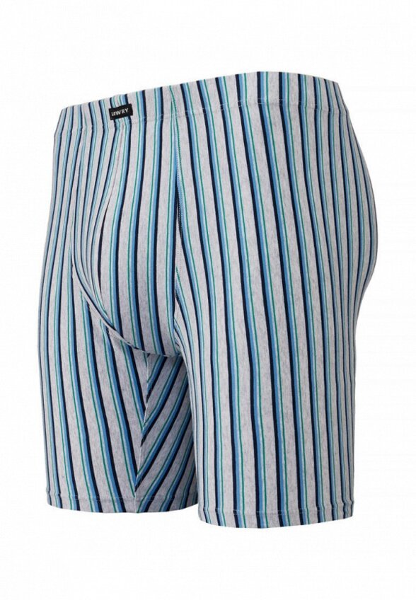 Трусы Lowry Collection