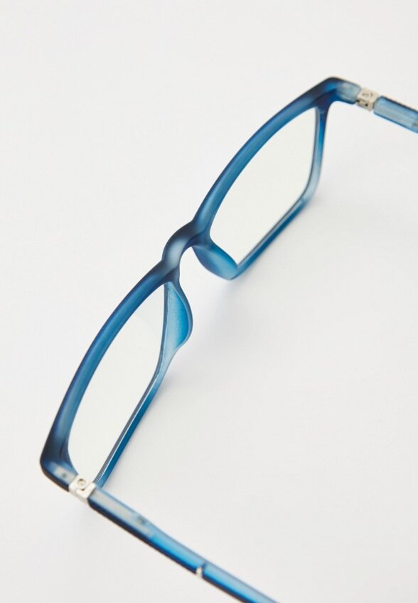 Очки для компьютера Lectio Risus