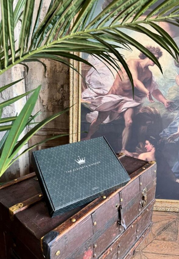 Постельное белье Евро The Eleventh Kingdom