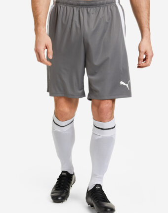 Шорты мужские PUMA teamLIGA, Серый женщинам