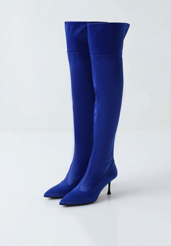 Ботфорты Passegiata