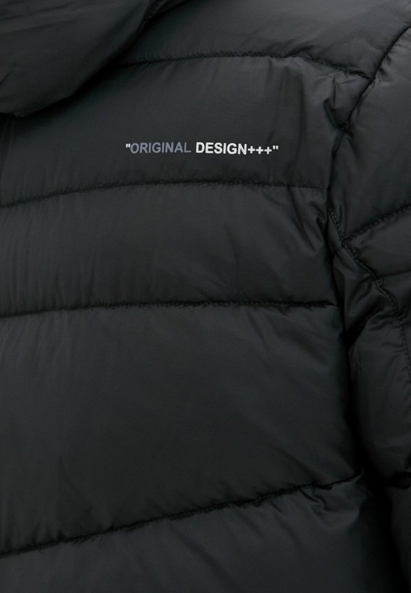 Пуховик Winterra