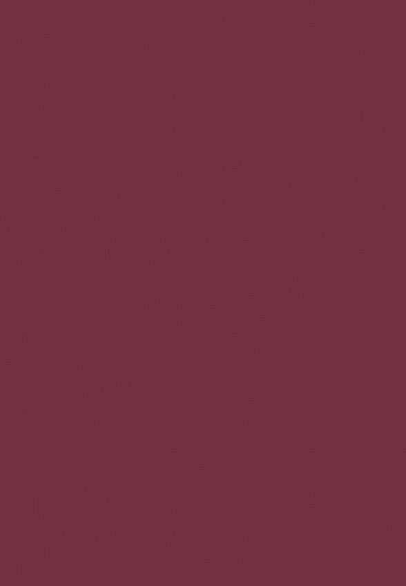 Бальзам оттеночный для губ Astra