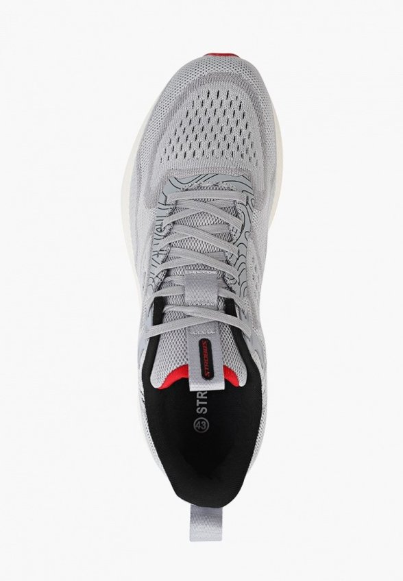 Кроссовки Strobbs