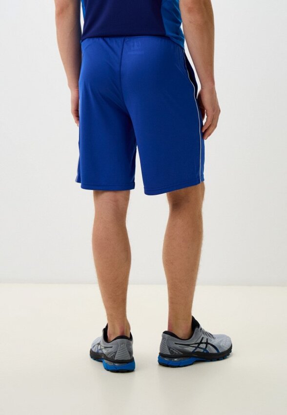 Шорты спортивные ASICS
