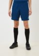 Шорты спортивные Demix1  - превью