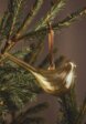 Елочное украшение из стекла1  - превью