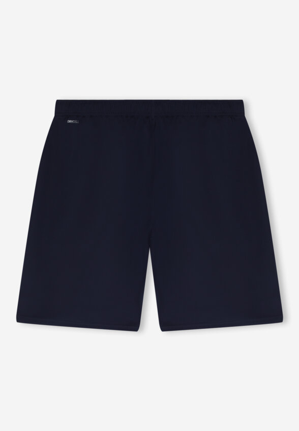 Шорты мужские PUMA Timerise, Синий