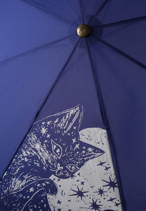 Зонт складной и брелок Flioraj