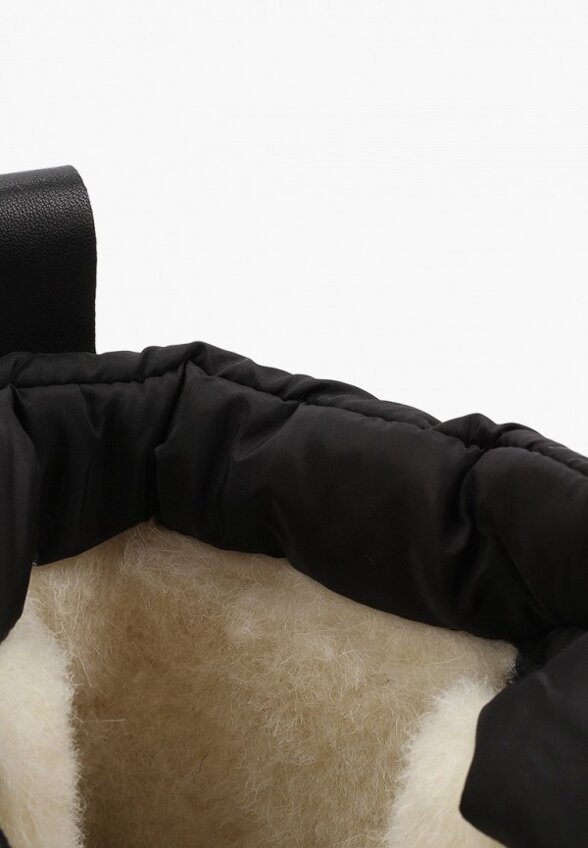 Дутики Ascalini