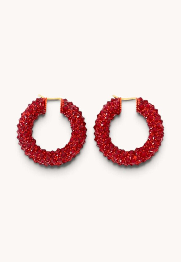 Celine Earrings