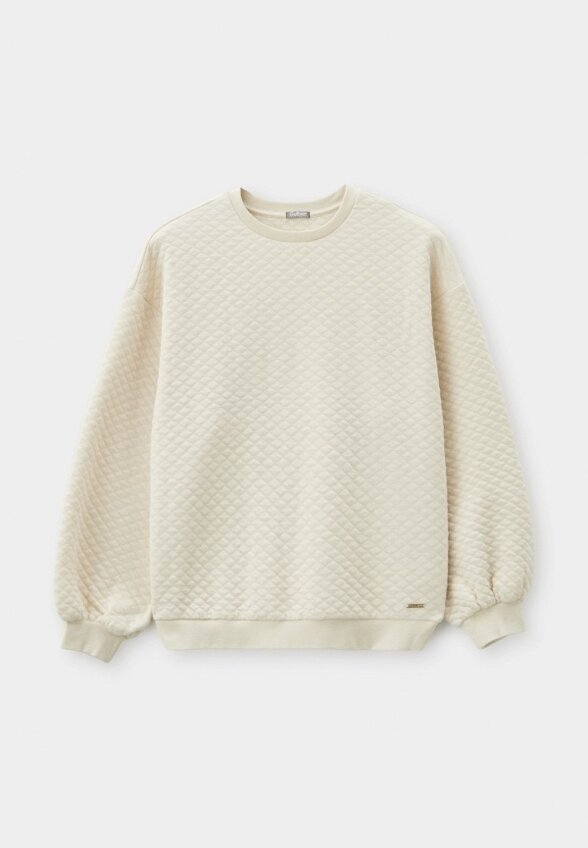 Свитшот Gulliver