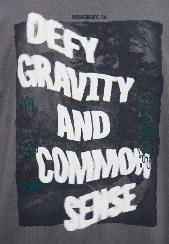 Худи The North Face