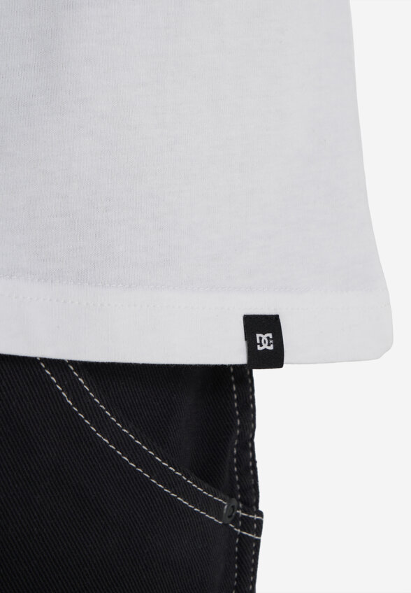 Футболка мужская DC Shoes Tailgate, Белый