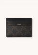 Celine Triomphe Canvas1  - превью