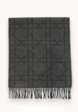 Dior Scarf1  - превью
