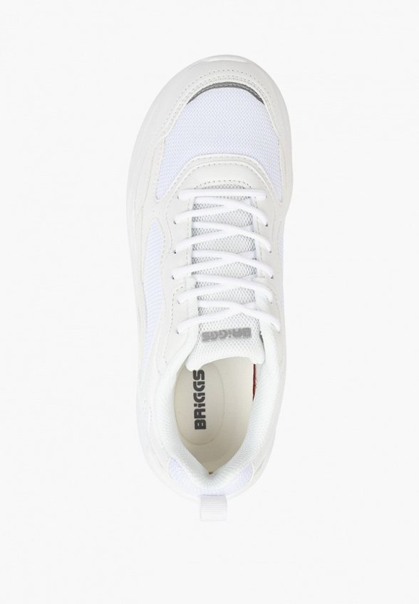 Кроссовки Briggs