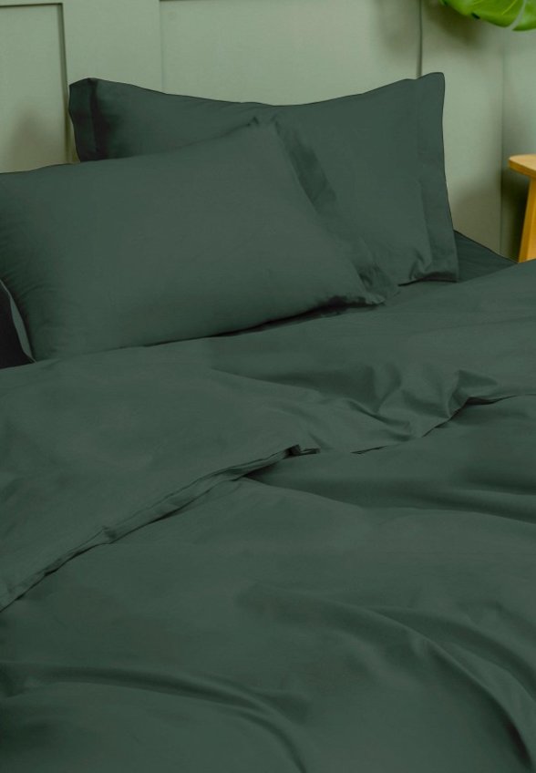 Постельное белье 2-спальное Василиса