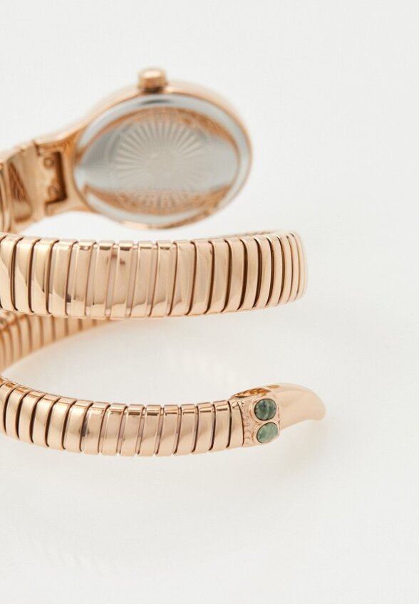 Часы Roberto Cavalli