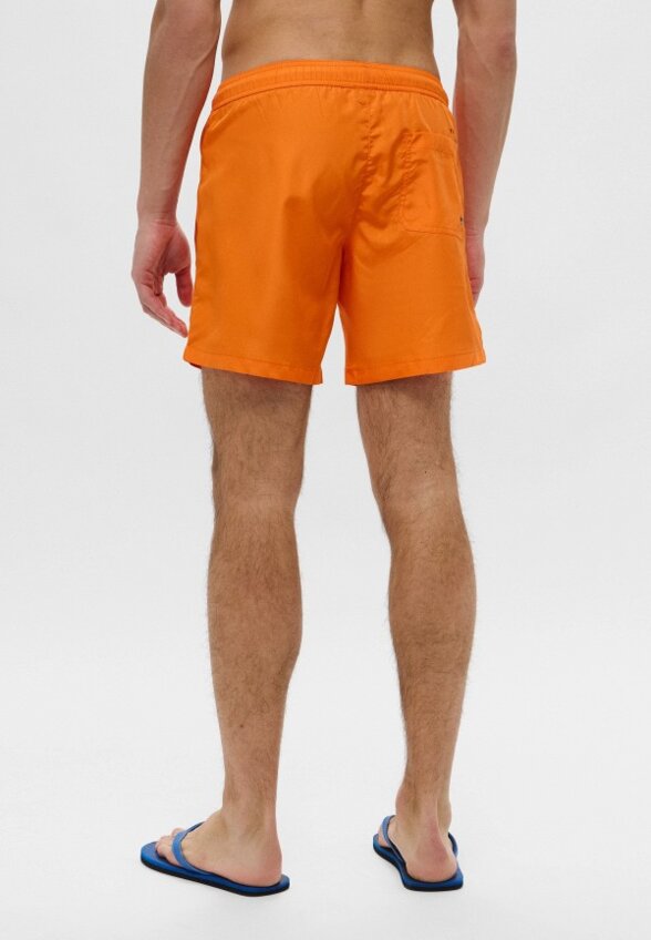 Шорты для плавания Trussardi