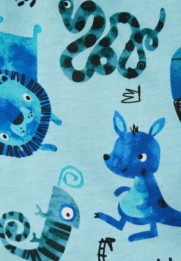 Шорты спортивные Acoola