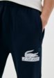 Брюки спортивные Lacoste4  - превью
