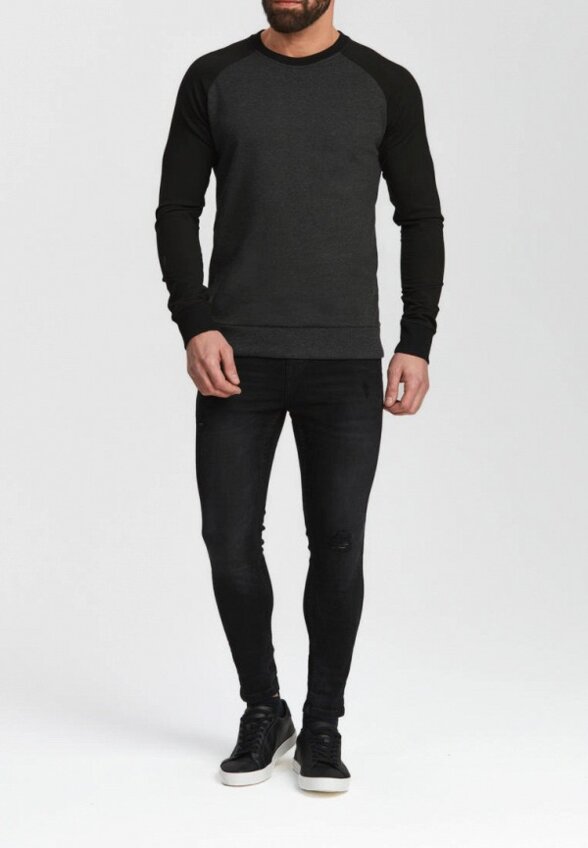 Свитшот Envylab