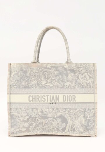 Dior Book Tote