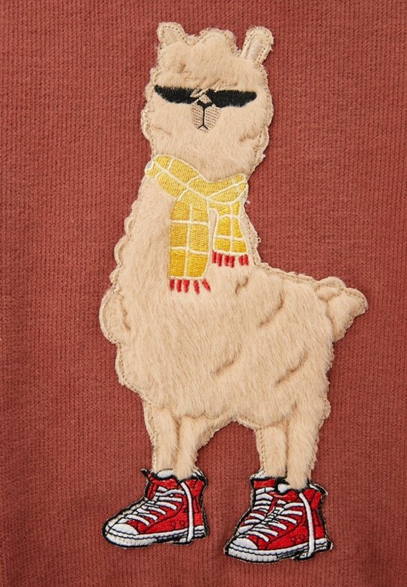 Свитшот Choupette