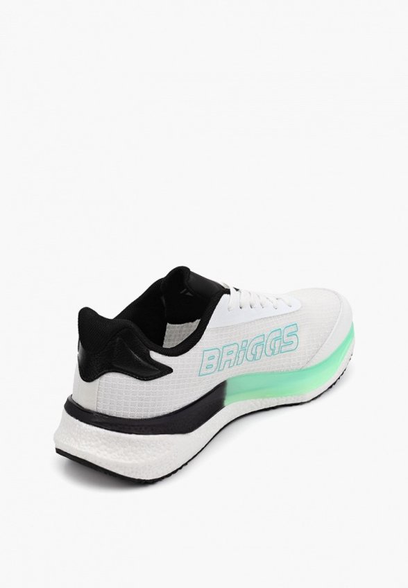 Кроссовки Briggs
