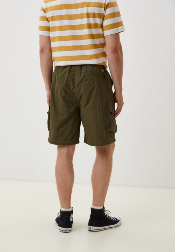 Шорты Dickies